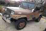 Jeep Wrangler TDI Blickfang Bj 1990 Rostfrei neue