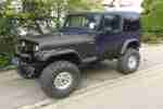 Jeep Wrangler YJ 4, 0 Einspritzer Alles eingetragen und