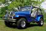 Jeep Wrangler YJ 4.0 inkl. Hardtop G Kat