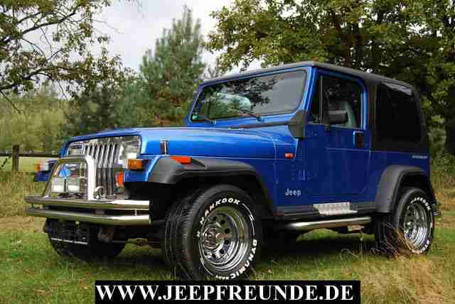 Jeep Wrangler YJ 4,0l HO D3 Norm BLUE STEEL !