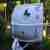 Knaus Sport 500