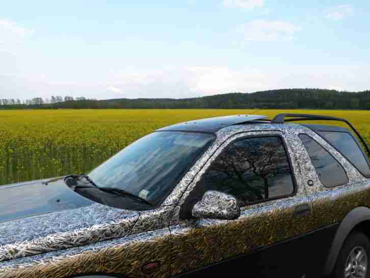 Land Rover Freelander, Motorschaden