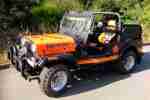 MAHINDRA CJ 540 DIESEL JEEP 2.HAND 48500 KM LKW