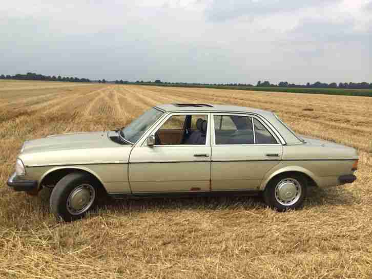 Mercedes Benz W123 250er Automatik,Gasanlage,elektr.SD,Servolenkung,AHK