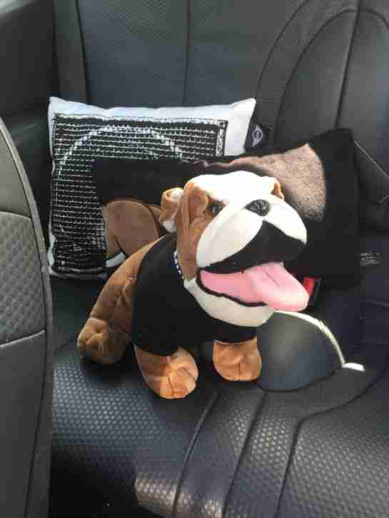 Mini Cooper R50 Schwarz Matt TÜV NEU Halbes Cabrio