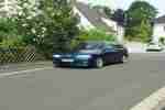 Primera GT P11