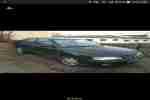 Primera P11