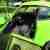Oldtimer Honda Z