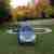 Opel Signum 2.2