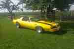 PONTIAC TRANS AM TARGA INZN. BUGGY DESERTER