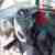 Peugeot 107 SOFORT