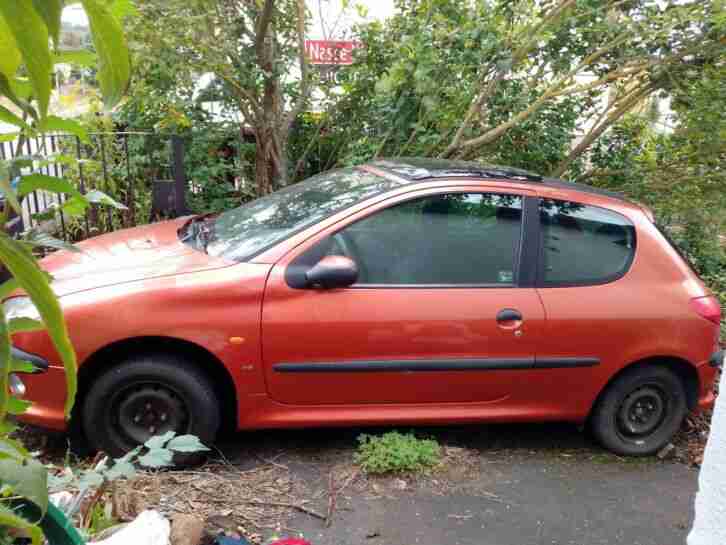 Peugeot 206 75 Style ohne TÜV an Bastler !!!