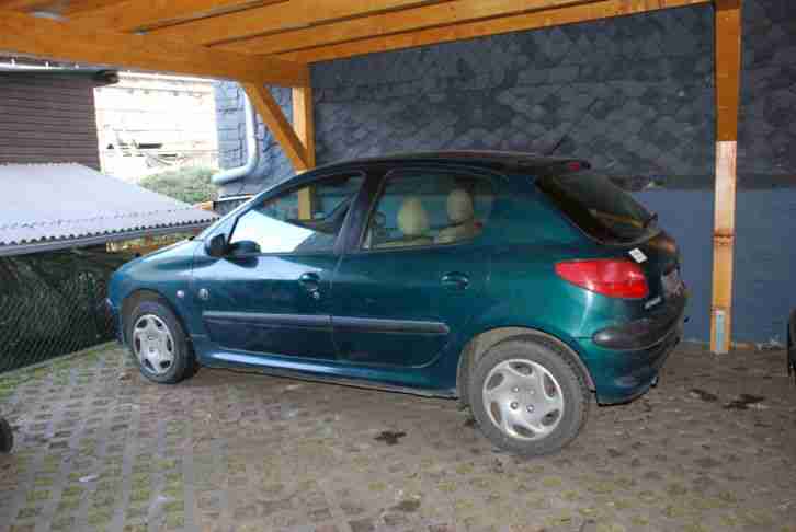 Peugeot 206 "Roland Garros" Panoramadach