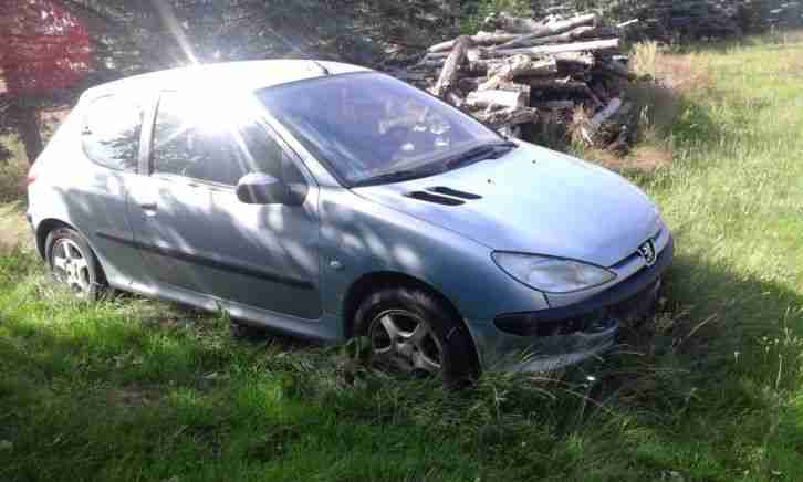 Peugeot 206 mit TÜV