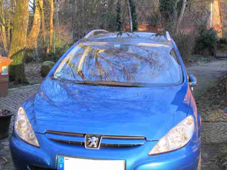 Peugeot 307 sw, Dachreling, blau, Diesel