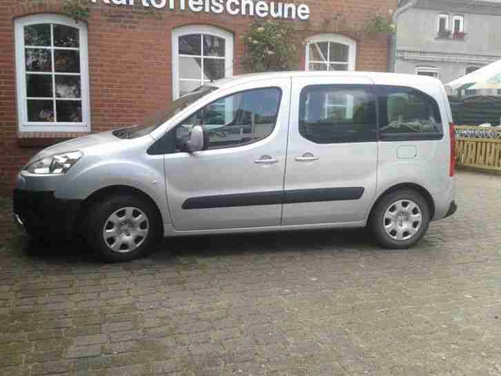 Peugeot Kombilimousine Euro 4
