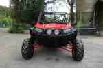 Polaris RZR 900 Buggy