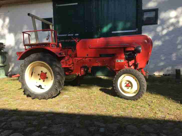 Porsche Classic Diesel Standard Junior Export Sammlerstück Nasenbär