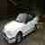 Renault 19 (R19)