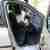 Renault Clio 1.2