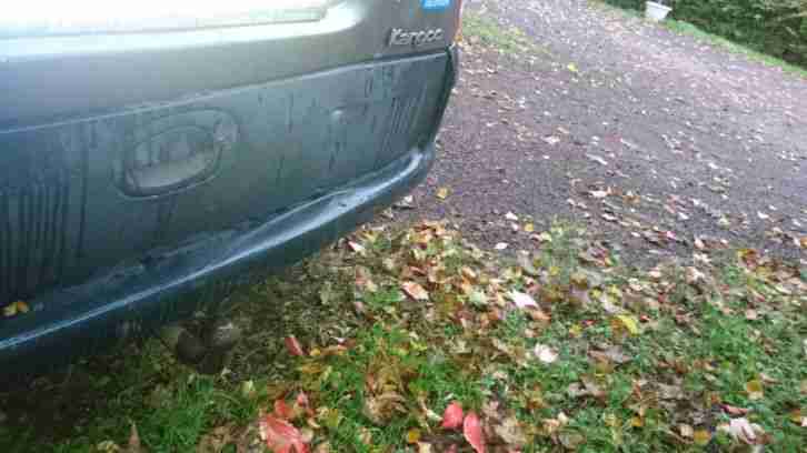 Renault Kangoo (F) 1,4 Benziner EZ 06.1999 Drehstab linksund rechts gebrochen