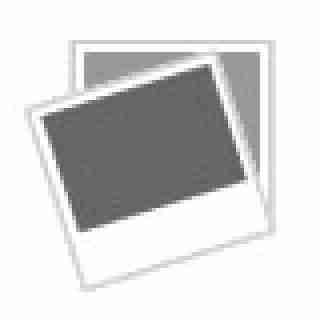 Renault Megane Scenic Diesel 1.9 dci mit AHK