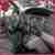 Renault Scenic 2.0
