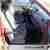 Renault Twingo 1.2