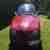 Roter Traum Alfa