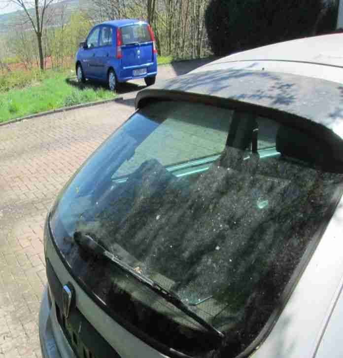 Rover 200
