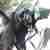 Rover 25 1.4