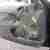 Rover 25
