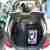 Rover 25