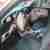 Rover 75