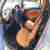 SMART FORTWO CITY