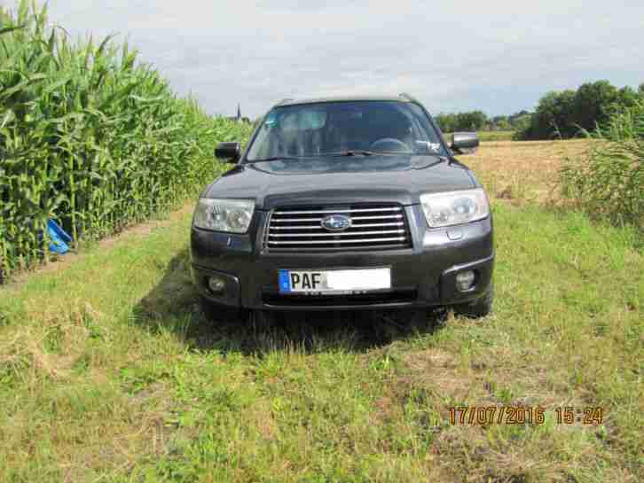 SUBARU FORESTER 2,0 XT "ACTIV ", AHK, LPG-Gasanlage, u.v.m.