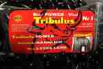SUPER HAMMER UNTER DEN POTENZPILLEN TRIBULUS 20 Stk.