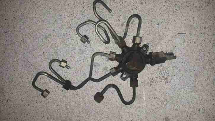 Schlachtfest - Renault Kangoo - 4x4