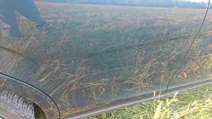 Seat Altea XL 1.4 Benzin/LPG HU/AU Neu 79.300 Kms