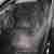 Seat Ibiza 1.4