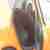 Seat Ibiza 1.6