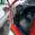 Seat Ibiza SC
