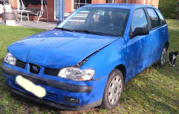Seat Ibiza, blau