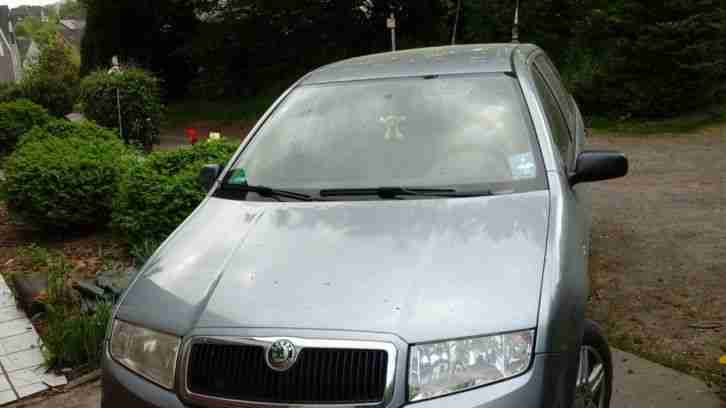 Skoda Fabia Kombi 9 Jahre alt