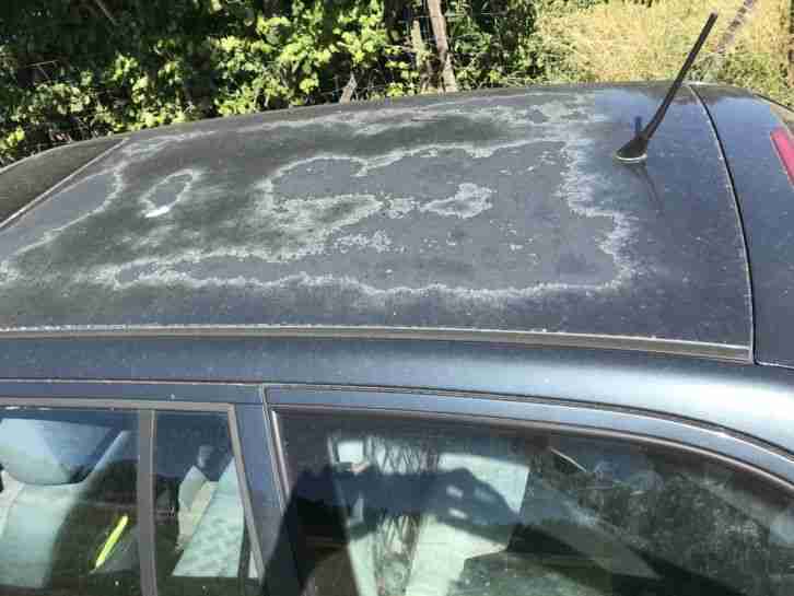 Skoda Octavia 1,8 20V Bastler