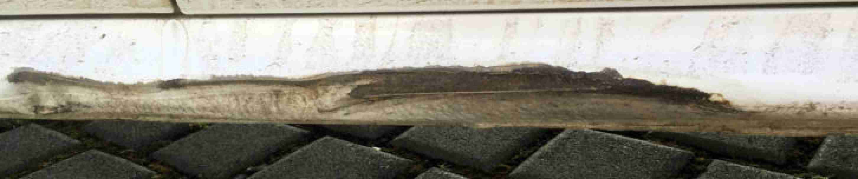 Skoda Octavia unfallfrei 3. Hd. Ez. 2000 DIESEL 81kw