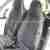 Smart Fortwo Passion