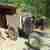 Sopron Dumper