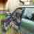 Subaru Forester Ecomatic