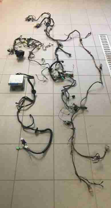 Samurai Motorsteuergerät Kabelbaum (VSE)